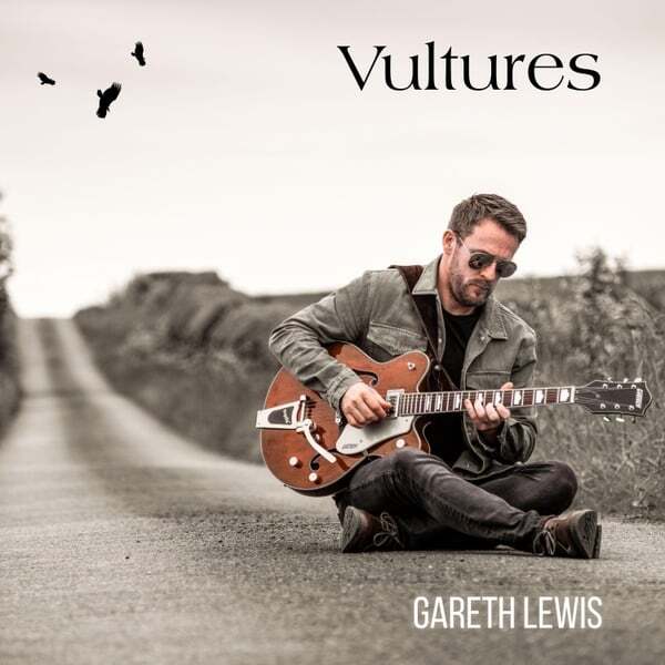 Cover art for Vultures